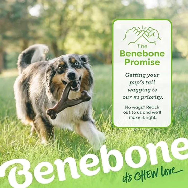 Benebone Wishbone Chicken XL, 24cm - (854111004972), Hundespielzeug – Bild 6