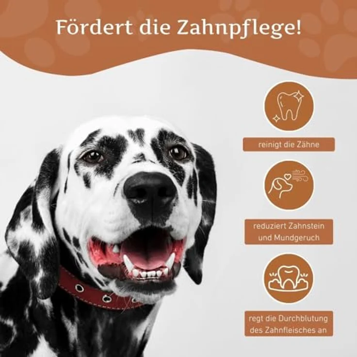 Wildfang® Kauwurzel aus Kaffeeholz mit Lachsöl, langlebiges Kauspielzeug für Hunde, Zahnpflege & Kaumuskel Training, Größe S – Bild 4