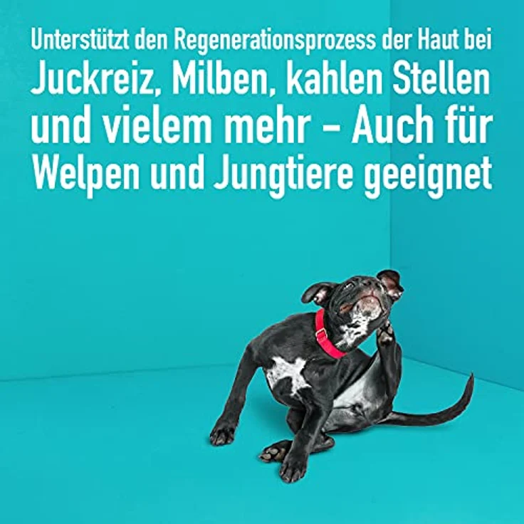 Green Hero Haustierpflege Spray 500ml Mittel gegen Juckreiz für Hund und Katze, Pflegt die Haut bei Grasmilben Milben Räude Reizungen Läusen und unterstützt den Regenerationsprozess Anti Juckreiz – Bild 4