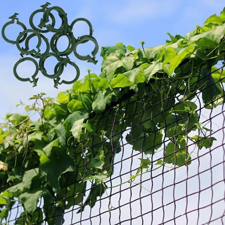 GARDENIX® 2x2.5 m Ranknetz Rankhilfe Tomaten, Gurken und Kletterpflanzen und 100 Stück Pflanzenclips (2x2.5 m, Schwarz)