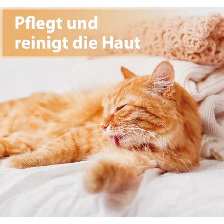 Felisept Wundspray für Katzen, 75ml - Optimale Wundversorgung, schmerzfreie Anwendung, von Tierärzten empfohlen – Bild 3