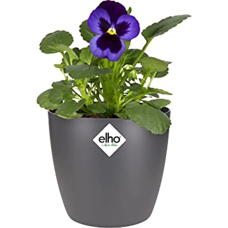 elho Brussels Rund Mini 10.5 - Blumentopf für Innen - Ø 11.0 x H 9.7 cm - Schwarz/Anthrazit – Bild 3