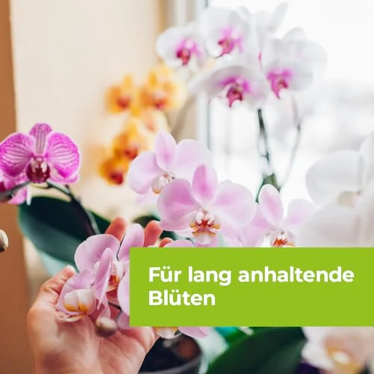 Bayer Beautykur Orchideen 20 ml – Bild 5
