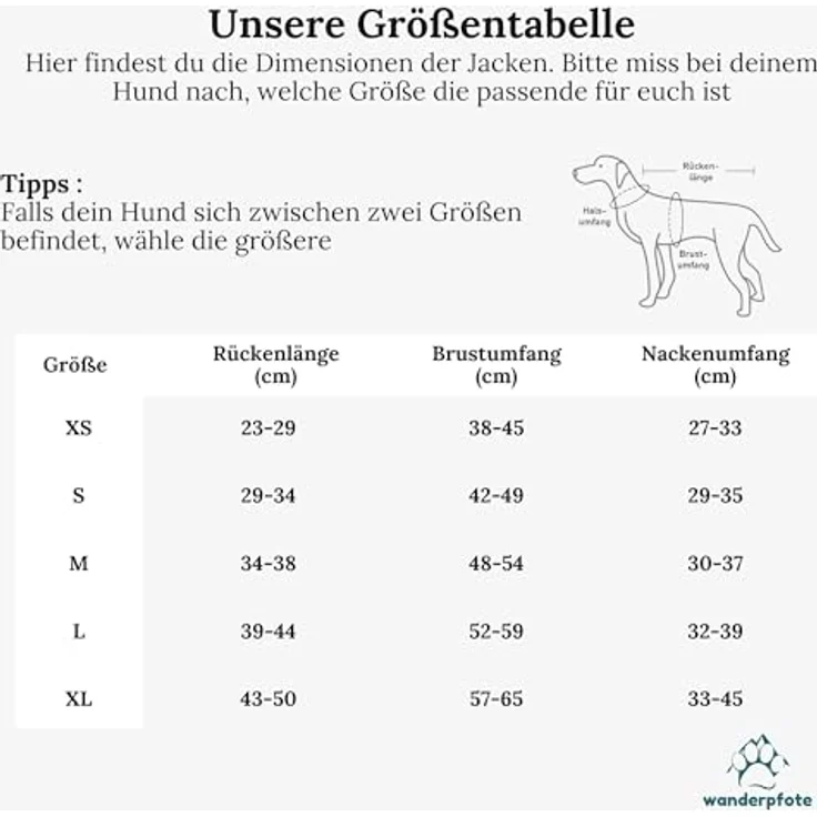 Wanderpfote Hundejacke in Grün, Steppjacke für Hunde - besonders Warm & Hochwertig – Bild 6