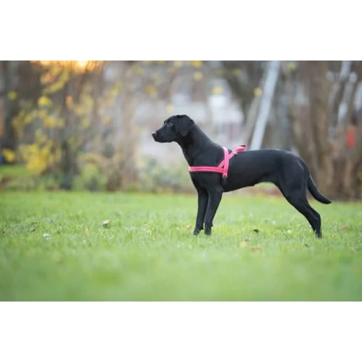 Wolters Hunde-Geschirr Soft & Safe, verstellbares Hundegeschirr für Hunde, minimal 28 cm, maximal 35 cm Brustgurt – Bild 4