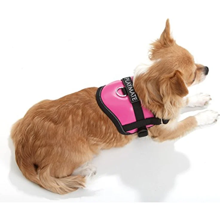 Karlie Teeny Weeny Geschirr B: 15 mm Br um: 26 - 35 cm XS beige – Bild 3