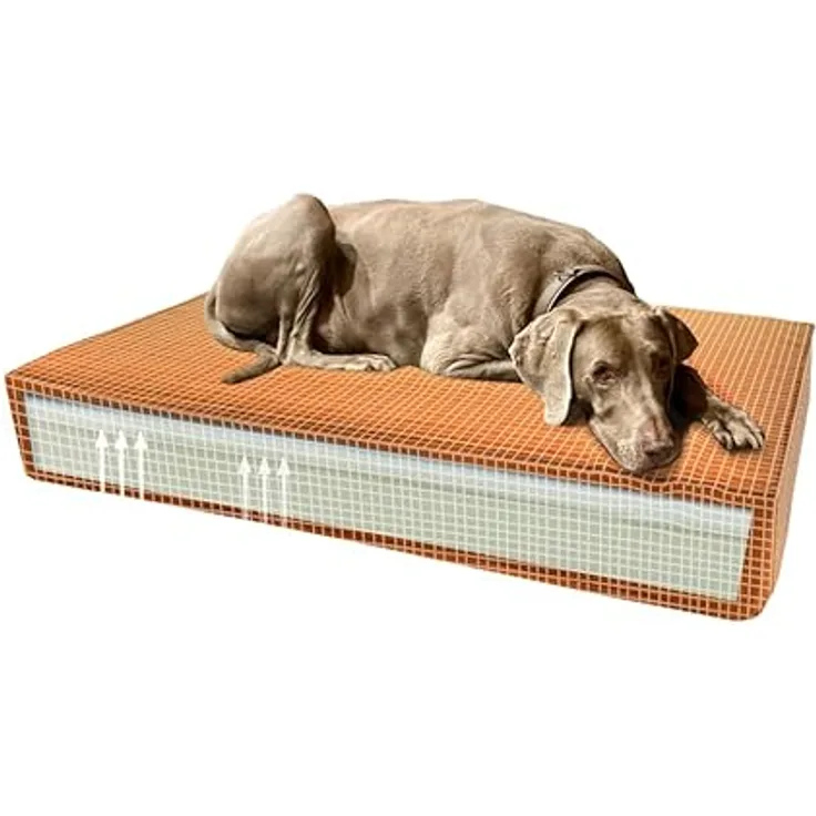 Madison Orthopedic Cushion Velvet Orange S - 100% Acrylfasern / Dralon, recycelter Schaumstoff, hohe Qualität