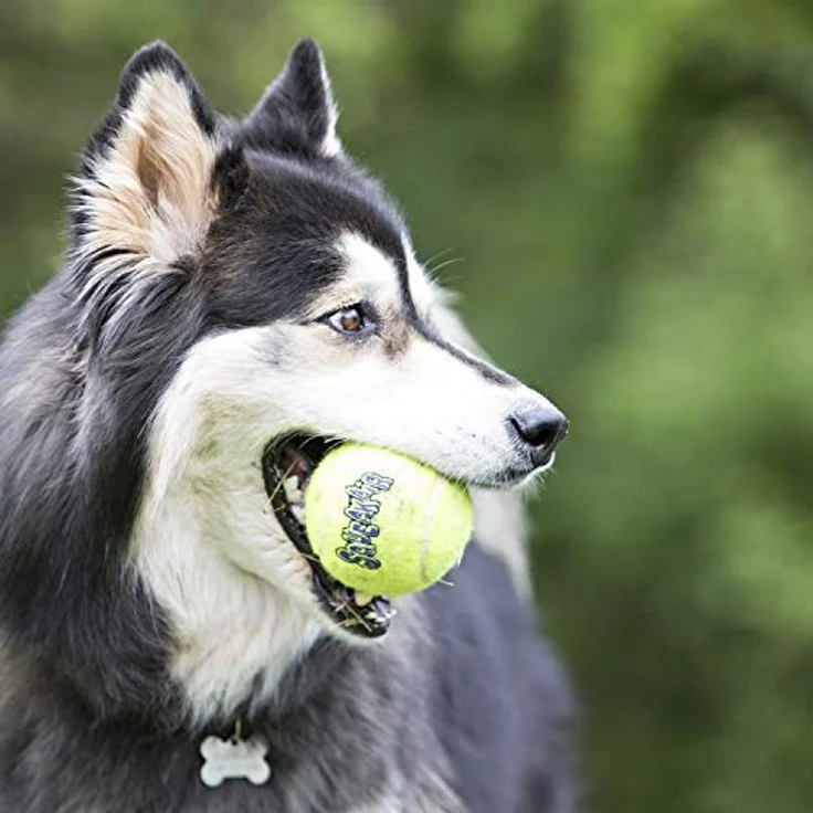 Kong Air Dog Squeaker Tennis Ball X-Large - 1 Pack - Pack of 4 – Bild 2