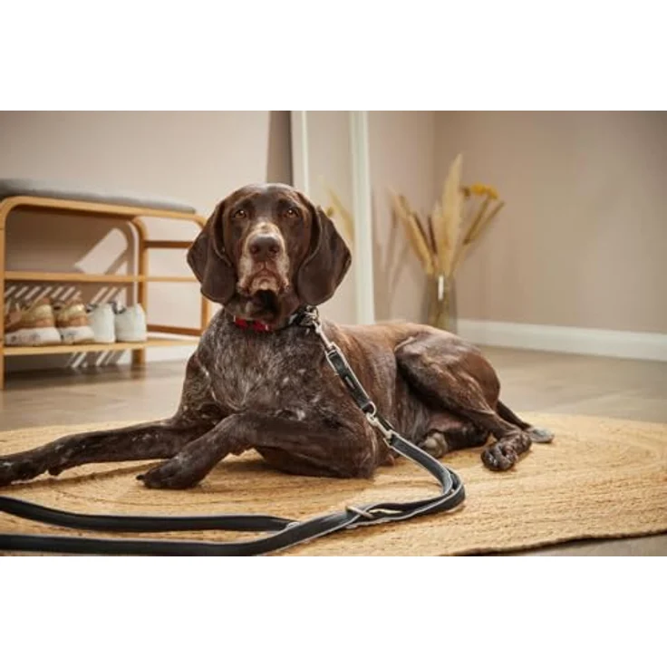 Wolters Active Pro Comfort, Hundeleine dreifach verstellbar, waschbar, anthrazit, 2 Meter lang – Bild 2