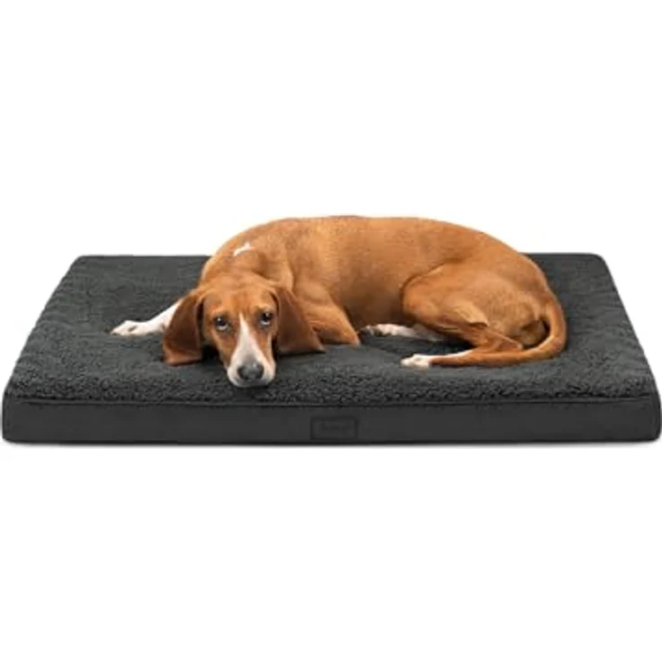 lionto Hundebett orthopädisch, 91x69x8 cm, robuster Plüschbezug, abnehmbar & waschbar, wasserabweisend, schwarz, geeignet für kleine & große Hunde + Katzen – Bild 1