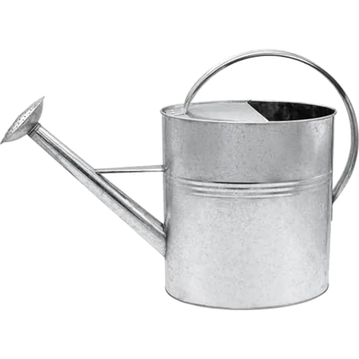 Spetebo Garten Gießkanne verzinkt, 10 Liter Blumengießkanne mit abschraubbarem Brausekopf, silberner Metalloptik – Bild 1