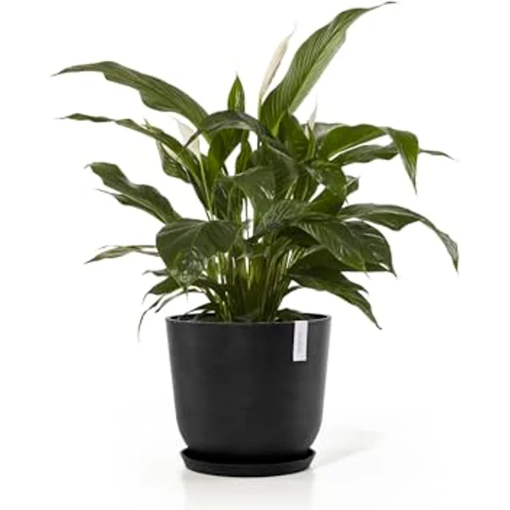 Ecopots Decolines 45 cm Ø Schwarze Kunststoff-Blumentöpfe | Wetterfeste Blumentöpfe für den Außenbereich, geeignet als Balkon- und Terrassentöpfe | Aus recyceltem Kunststoff, designed für 10 Jahre Nutzung – Bild 7