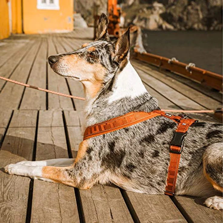 Hurtta Hundegeschirr, gepolstert, 35,6 cm, Zimtfarben - Komfortables Neoprenpolster und gleichmäßige Druckverteilung – Bild 2