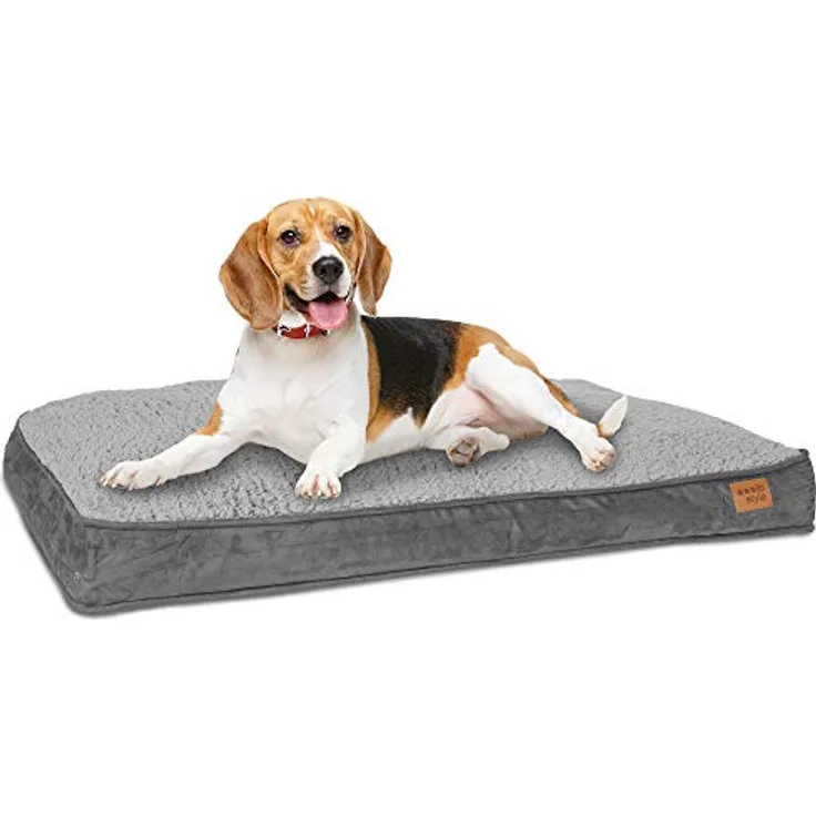 ib style® Happy Dreams Haustierbett | Hundematte | mit Reißverschluss | Anti-Rutsch Unterseite | M (82x58cm) | Grau