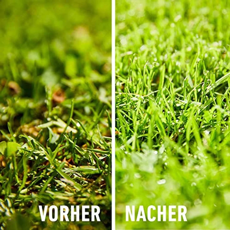 Compo Rasend&uumlnger Moos - Nein danke!, 7,5 kg f&uumlr 300 qm: Tests,  Infos & Preisvergleich