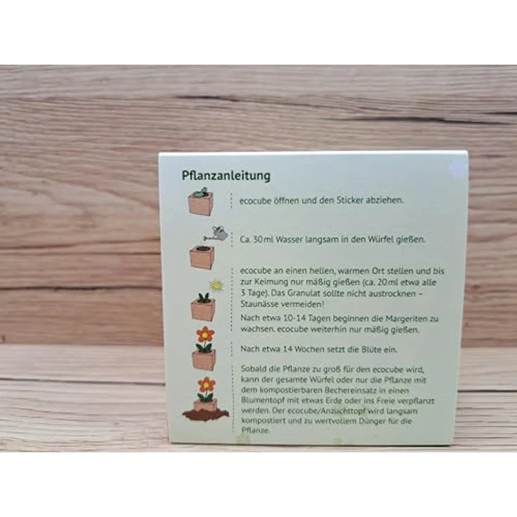 Feel Green Ecocube Margerite, Anzuchtset im Holzwürfel, Made in Austria – Bild 2