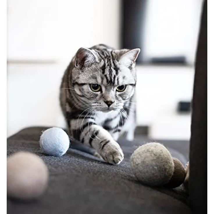 LucyBalu® Filzbälle mit Glöckchen für Katzen | Katzenspielzeug | Katzenbälle aus Filz | Katzen Spielsachen aus Wolle | Natürliches Spielzeug für Katzen | Spielbälle für Katzen mit Glocke | 3 Stück – Bild 5