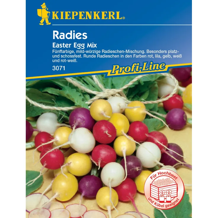 Radieschen Easter Egg Mix, mild-würzige Mischung, platz und schoßfest