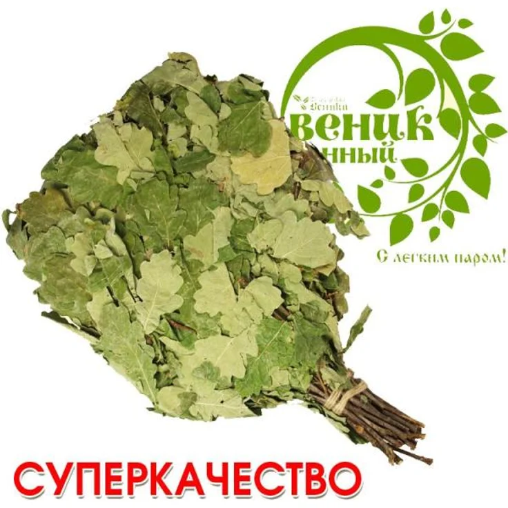 Eichenreisig für Sauna, Wenik für Banja ca. 55-60 cm