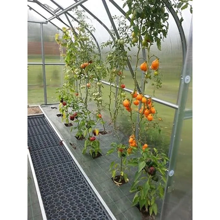 Klasika Gewächshaus KLASIKA STANDART 15 (2,5 x 6 m) mit Fundament, 4 mm Polycarbonat und dachluken mit automatischen Öffnern, geräumig – Bild 4