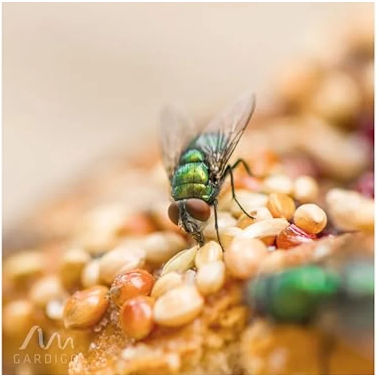 Gardigo 25180INT, Insektenvertreiber mit Duftschale zur Wespenabwehr, 80 x 250 x 80 mm – Bild 4