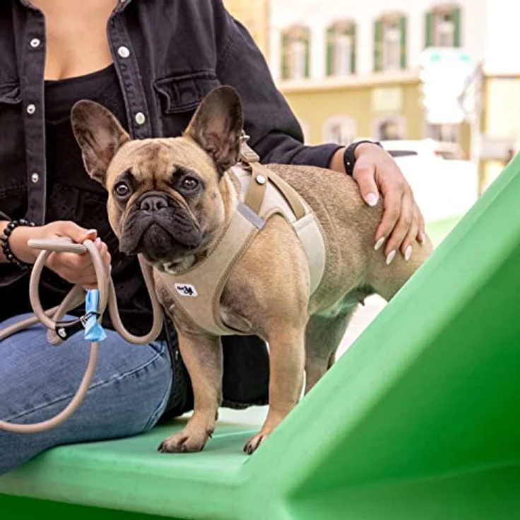 Curli Vest Harness Clasp Cord, Hundegeschirr für kleine und mittelgroße Hunde, ergonomische Passform, braun, Größe L – Bild 4