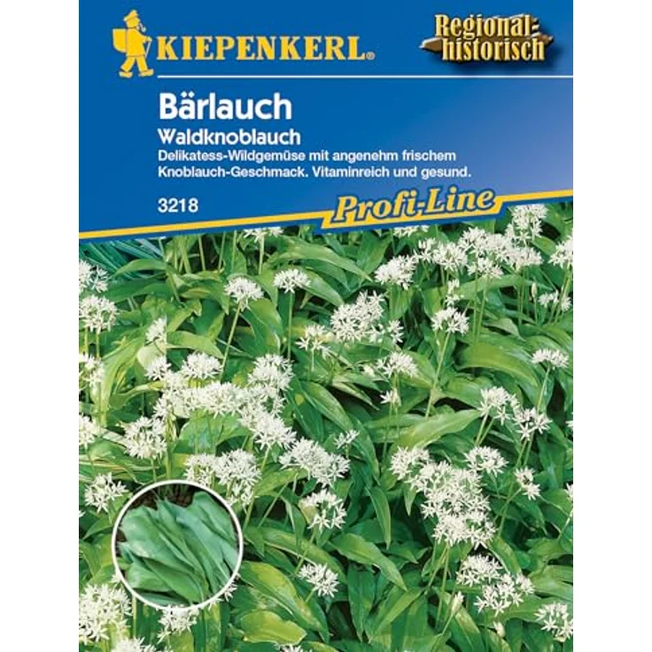 Kiepenkerl Bärlauch Waldknoblauch Allium ursinum – Bild 2