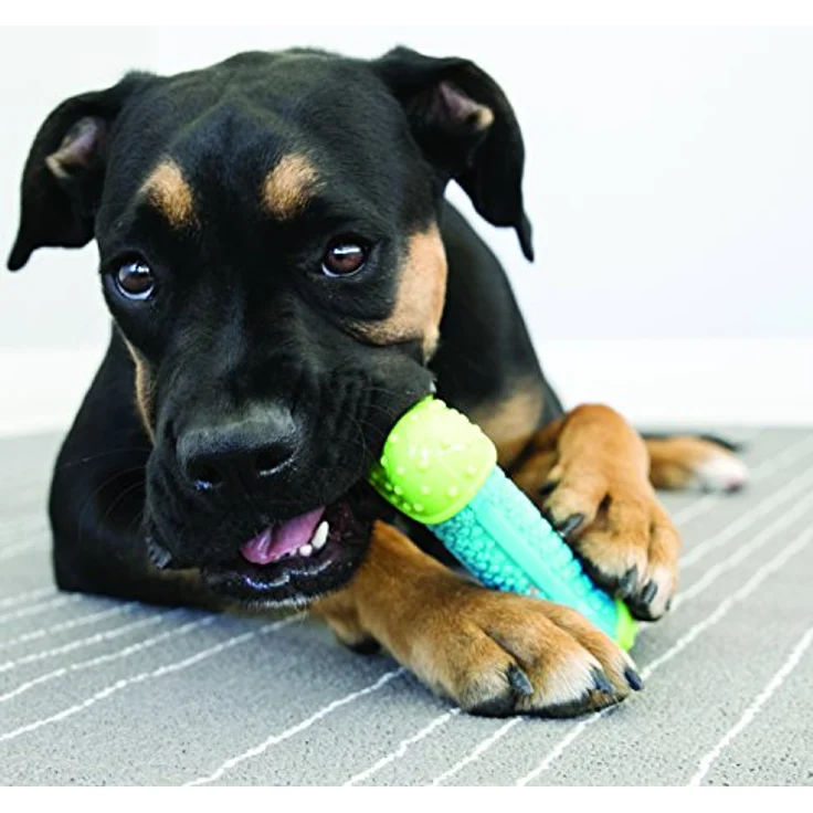 KONG – CoreStrength Ball - Langlebiges Kauspielzeug für Zahnpflege – Für Große Hunde – Bild 2