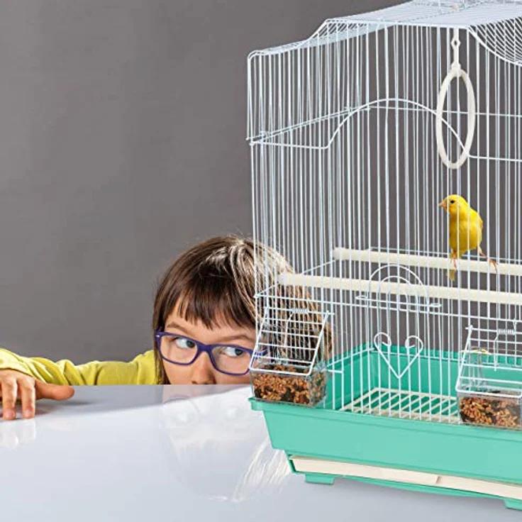 Relaxdays Vogelkäfig, Käfig für kleine Kanarienvögel, Sitzenstangen & Futternäpfe, 49,5 x 35 x 32 cm, hellblau/mintgrün, 1 Stück (1er Pack) – Bild 5