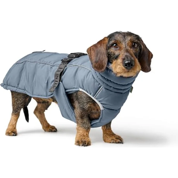 Hunter Tierbedarf Hundemantel Paxson Dachshund taubenblau, wasserabweisend, reflektierende Elemente, individuell einstellbar – Bild 3