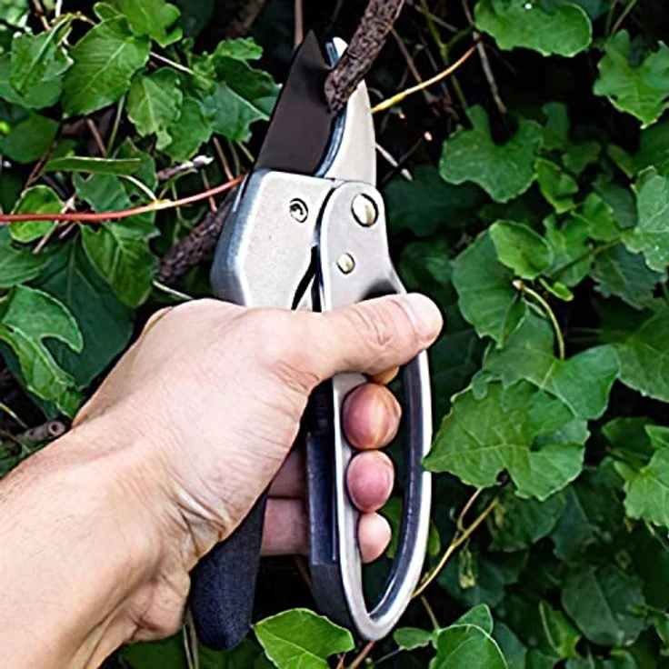 Universal Gartenschere Rosenschere mit geschmiedeter Klinge; Blumenschere aus rostfreiem Edelstahl – Bild 2
