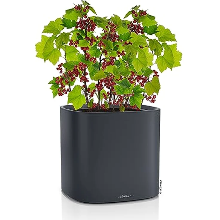 LECHUZA PILA Color Planter schiefergrau 15906 – Bild 2