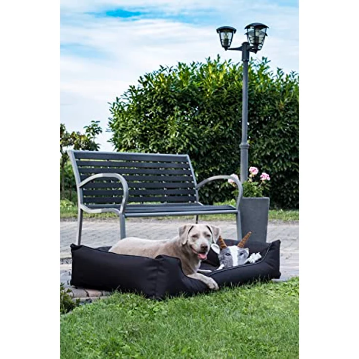 Lebon - Hundebett Paula Plus Schwarz - Orthopädisch - 3 Größe - 80 cm - 100cm - 120cm -Mit Reißverschluss und waschbar - Pflegeleicht - Schmutz - und Wasserabweisend (L) – Bild 5