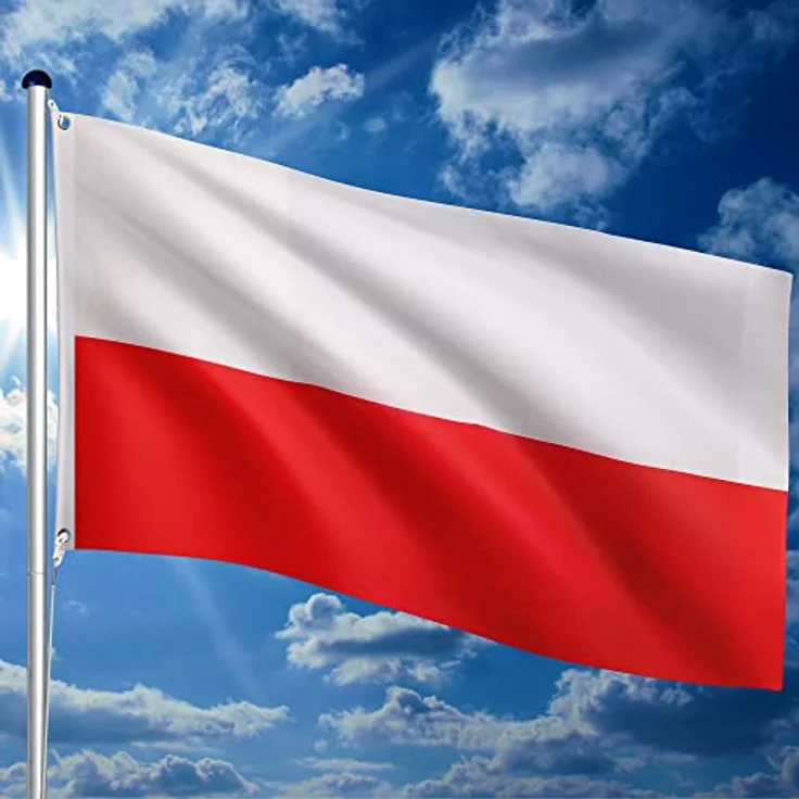 FLAGMASTER Teleskop Fahnenmast, Aluminium 6,50m, 5-fach höhenverstellbar, inkl. 30 Flaggen zur Wahl, Komplettset mit Bodenhülse – Bild 5