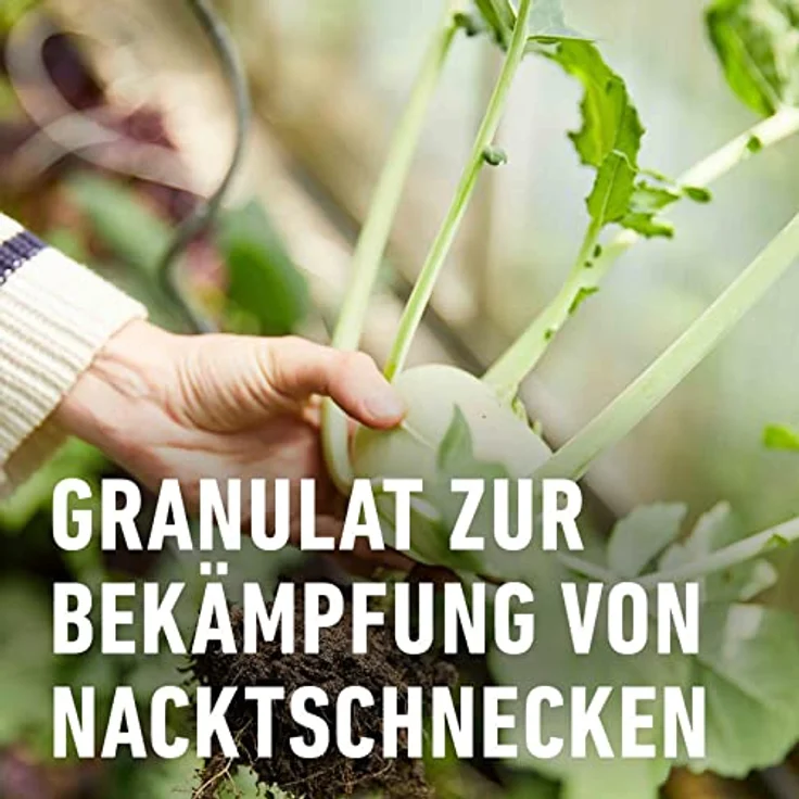 COMPO BIO Schneckenkorn 550 g – Bild 3