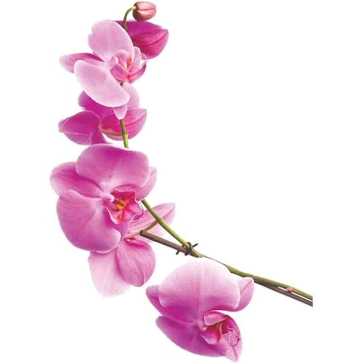 MSV WC-Sitz Lanyu, MDF, 42,5 cm x 36,5 cm, Weiß-Rosa, Edelstahl-Scharnier, leicht zu reinigen, feuchtigkeitsbeständig – Bild 5