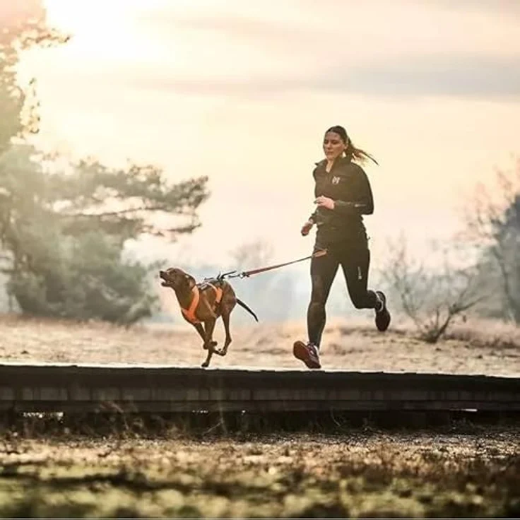 Non-stop dogwear Freemotion Geschirr 5.0, Blaugrün, reflektierend, strapazierfähig und bequem – Bild 3