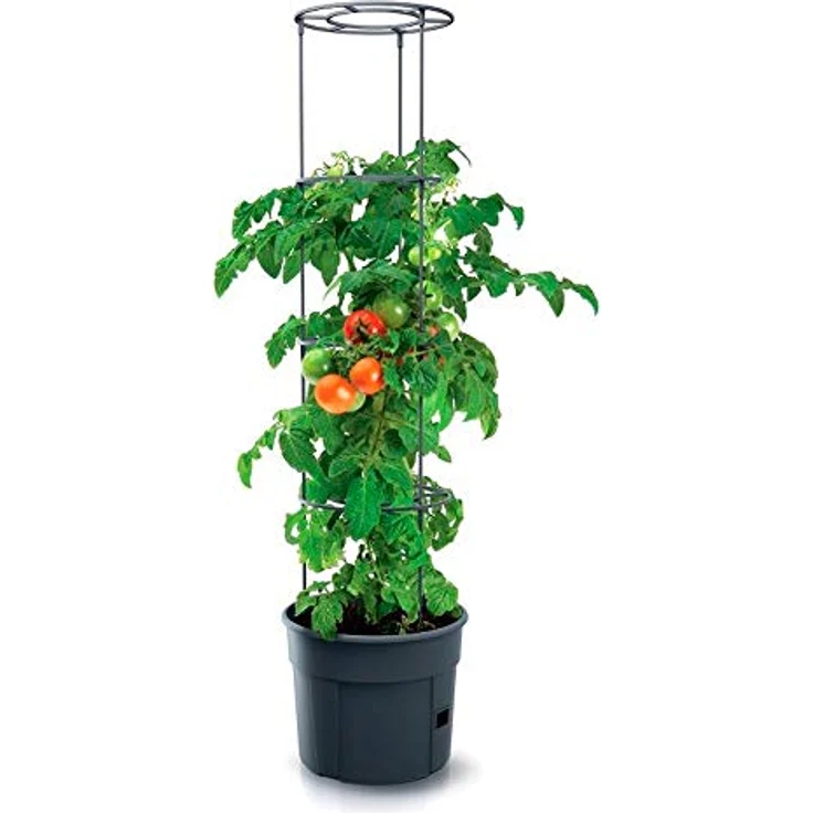 Macetero de tomates Prosperplast Tomate Grower de plastico en color antracita 29,5 (largo) x 29,5 (ancho) x 23,6-115,2 (alto) cm – Bild 3