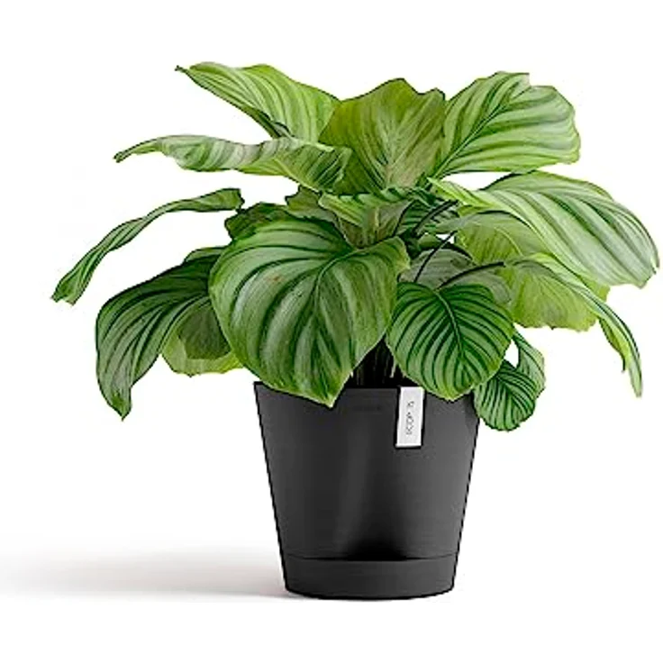 ECOPOTS Blumentopf Venice 2 mit Bewässerung Dunkel Grau - Durchmesser Ø 40 cm rund groß - Pflanzentopf aus Recycling Kunststoff - Übertopf mit Wasserversorgung modern für Indoor und Outdoor – Bild 2