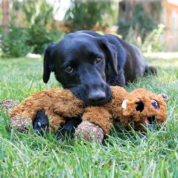 KONG Low Stuff Flopzie Flopzie, Tierspielzeug mit Fuchs-Design, Größe M, weich und mit mehreren Quietscher – Bild 2