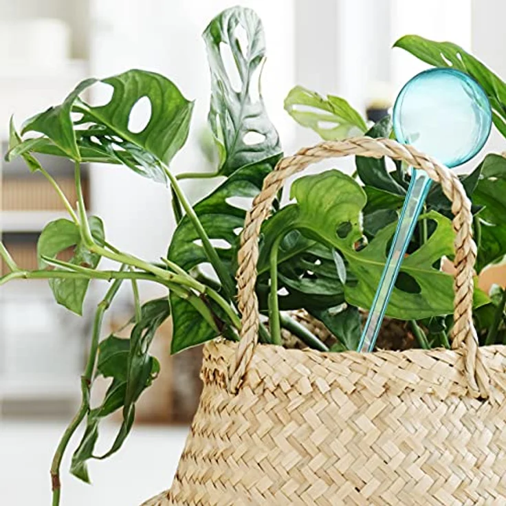 relaxdays Tropfer 8 x Bewässerungskugeln, hellblau, 250 ml Fassungsvermögen für dosierte Bewässerung bis zu 2 Wochen – Bild 3