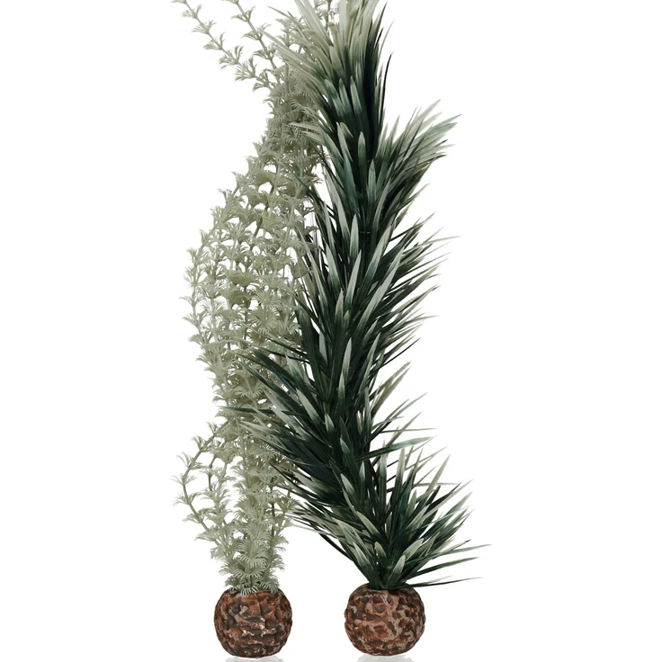 biOrb Ambulia grau/grün L (55072)