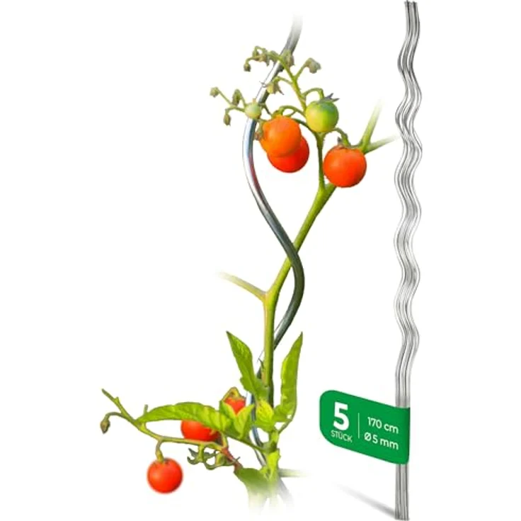 Novatool Rankhilfe 19649, 5 Stück verzinkte Tomatenspiralstäbe, 170 cm x 5 mm Ø, wetterfest und korrosionsbeständig für Kletterpflanzen – Bild 8