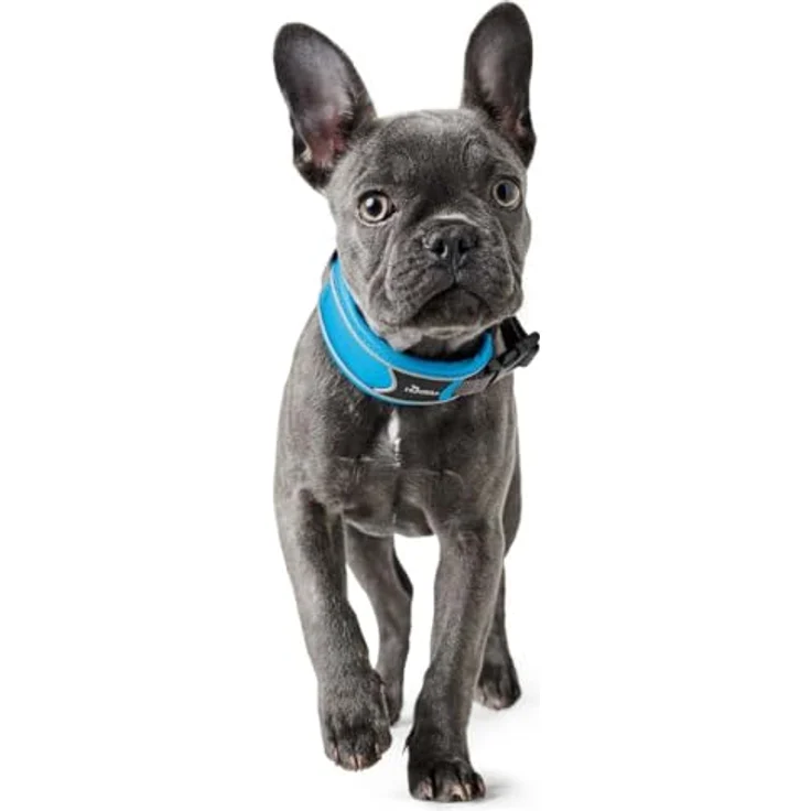 Hunter Hunde-Halsung Divo hellblau-grau S – Bild 4