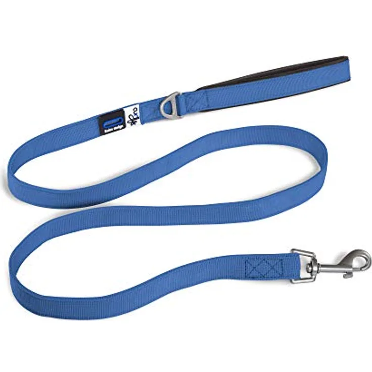 Basic Leash Blue L