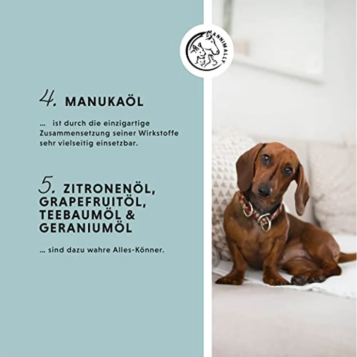 Annimally Tier Haut-Pflege-Spray trockene Haut für Hund, Pferd & Kleintiere bei trockener Haut I Spray mit Lebermoos, Aloe Vera, Totes-Meer-Salz, Teebaumöl & Manuka Öl - 100% natürlich – Bild 4