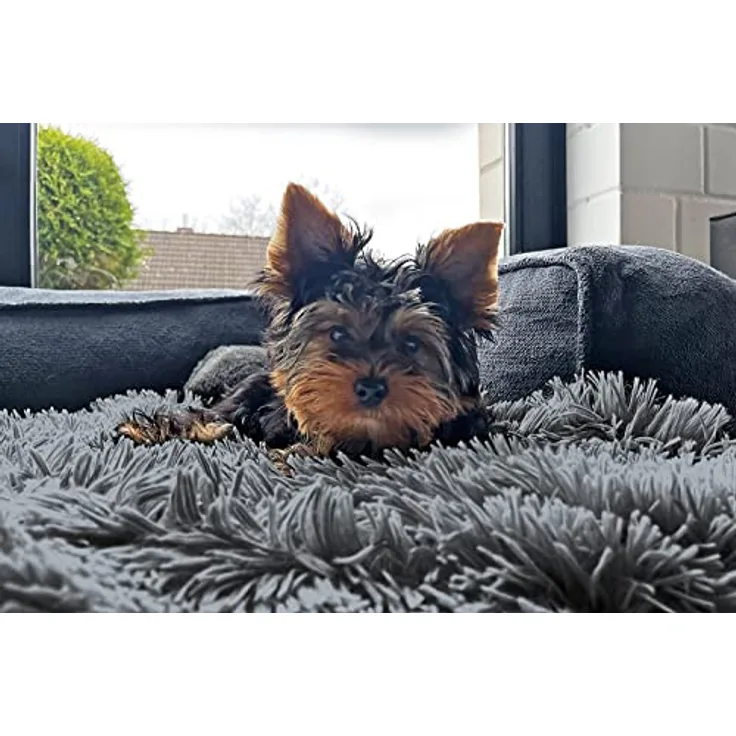 tierlando® Hundeliegedecke Shary kuschelige Zottelplüsch Hundematte 100x70cm Graphit