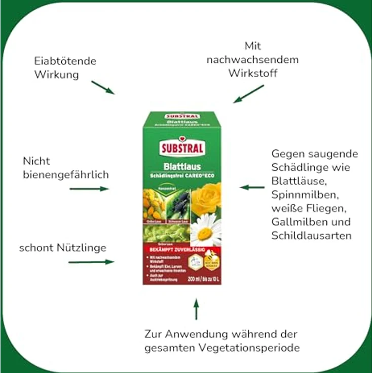 Substral Blattlaus Schädlingsfrei Careo Eco, 200ml, gegen Blattlaus, Spinnmilbe, Weiße Fliege, Gallmilbe und Schildlaus, bekämpft auch Eier & Larven – Bild 4