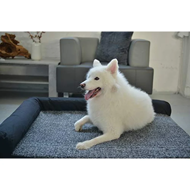 RAIKOU Weiches Hundebett, Hundekissen mit kuscheligem Plüsch, gepolstertes waschbares Haustierbett Hundesofa Hundekorb（Grau Melange, 80x60x7cm, Hundekissen, 30x25cm） – Bild 3