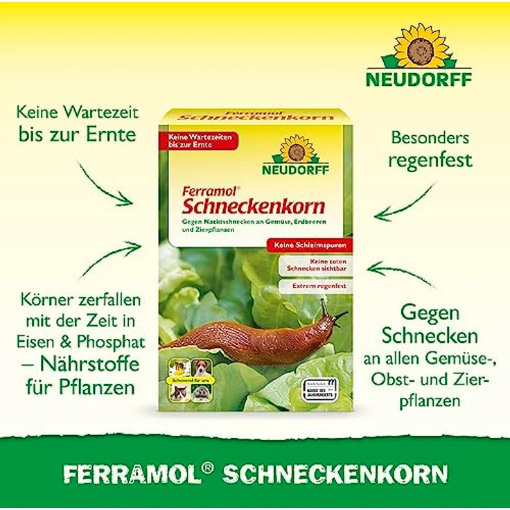 Neudorff Ferramol Schneckenkorn 2 kg gegen Nacktschnecken Eisenverbindung als Wirkstoff – Bild 2